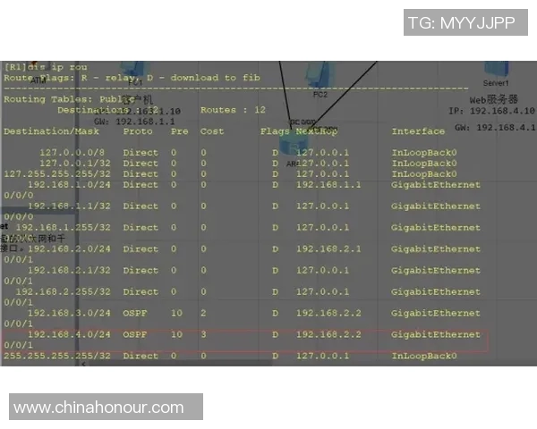 广州极限运动队的进攻策略与热点分析探秘
